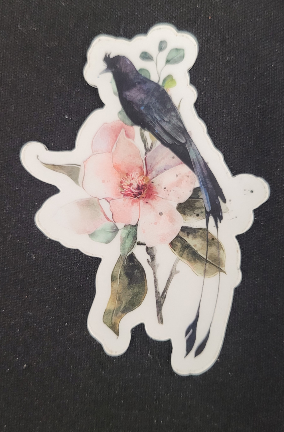 Black Bird and Flowers - Transparent Sticker