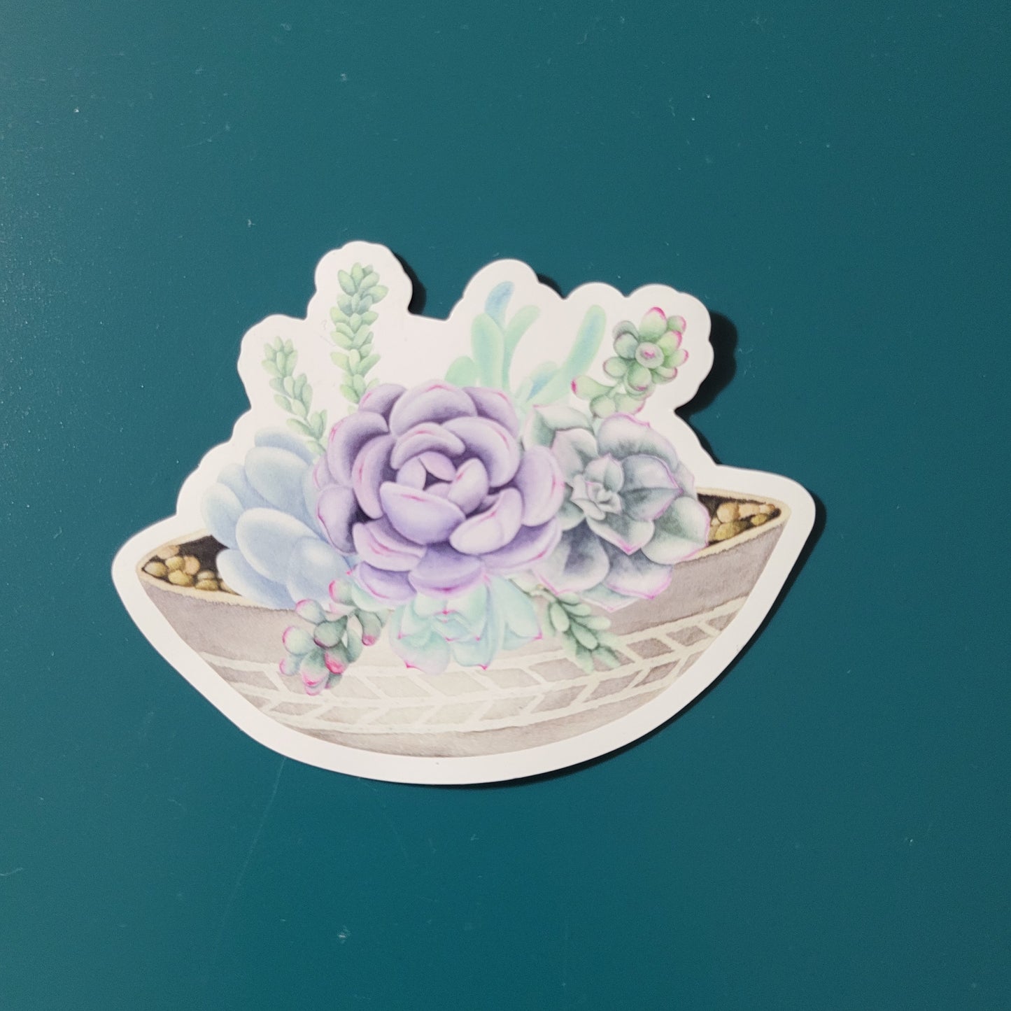 Potted Succulents Magnet