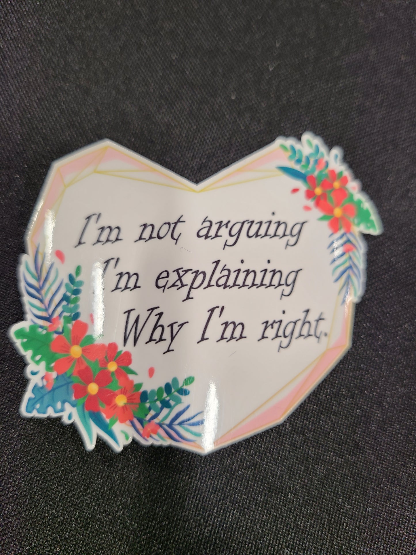 I'm Not Arguing, I'm Explaining Why I'm Right